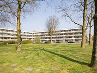 Bolestein 792, 1081 ER Amsterdam