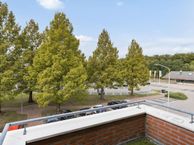 Nieuwe Streek 23, 9351 BZ Leek