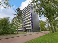 Bergmolen 69, 1035 BD Amsterdam