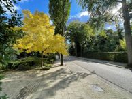 Koningsvaren 34, 5552 EB Valkenswaard