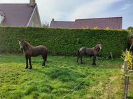 Jacobus Boomsmastraat 44, 8565 GJ Sondel