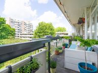 Bolestein 194, 1081 EA Amsterdam