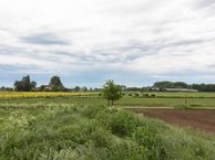 Pannerdense Waard 12 nabij, 6911 KM Pannerden