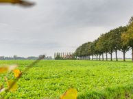 Nieuweweg 17, 7078 AK Megchelen