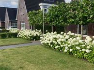 Brugstraat 111, 7891 AT Klazienaveen