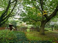 Schoor 11, 6031 SC Nederweert