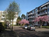 Ridderspoorlaan 53 S, 2343 TW Oegstgeest