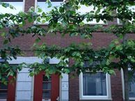 Eligenstraat 72, 3512 PT Utrecht