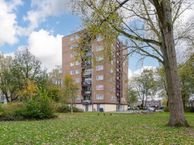 Thijssestraat 159, 1504 LG Zaandam