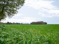 Kanaaldijk 88, 8191 NC Wapenveld