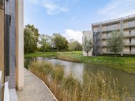 Citroenberg 153, 4707 DA Roosendaal