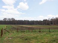 Ruurloseweg 28, 7021 HB Zelhem