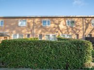 Pruimenstraat 51, 1033 KL Amsterdam