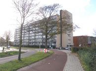 Rauwenhofflaan 38, 3571 HH Utrecht