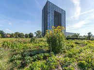 Regattaweg 46, 9731 NA Groningen