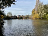 Schapenbogert 40, 4844 AK Terheijden