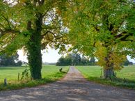 Reigersvoortseweg 4 - 4a, 7227 NK Toldijk