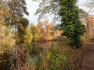 Wijhezicht 36, 8131 DL Wijhe