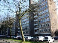 Van Nijenrodeweg 646, 1082 HZ Amsterdam