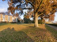 Fangmanweg 58, 6862 EK Oosterbeek