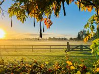 Oosteinde 80, 7711 BZ Nieuwleusen