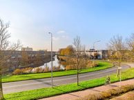 Regenwulp 19, 1991 VD Velserbroek