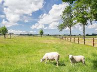 Barbesteinweg 19, 4451 NL Heinkenszand