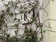 Papenstraat 6 a, 8011 PL Zwolle