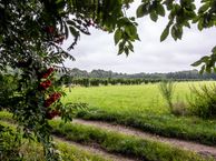 Nabij Kasteellaan (Bouwnummer STE 46) (Bouwnr. 46), 5253 AM Nieuwkuijk