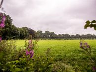 Nabij Kasteellaan (Bouwnummer STE 47) (Bouwnr. 47), 5253 AM Nieuwkuijk