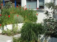 Voorburglaan 21, 4318 BL Brouwershaven