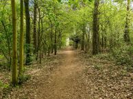 Spetsebrugweg 1 L2691, 9541 XV Vlagtwedde