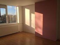 Rotterdamsedijk 407 A, 3112 AP Schiedam