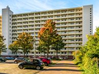 Jisperveldstraat 439, 1024 AW Amsterdam