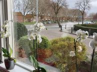 Burg. Schalijstraat 31 -, 3442 BS Woerden