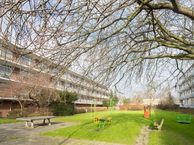 Tholenstraat 126, 3086 TP Rotterdam