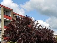 Plutolaan 361, 9742 GK Groningen