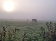 Stateheide 1, 9257 MH Noardburgum