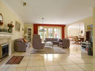 Ringmus 2, 1965 EH Heemskerk