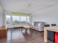 Bachplein 298, 3122 JD Schiedam