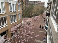 Noordwaarts 79, 2711 HK Zoetermeer