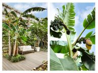 De Rijpgracht 9 H, 1056 XP Amsterdam