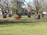 Wethouder van Wellaan 114, 5703 CM Helmond