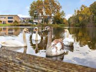 Roerdompstraat 47, 3291 VK Strijen