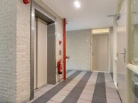 Statehof 1, 8302 CZ Emmeloord