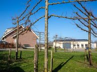 Steenweg 18, 4781 AP Moerdijk
