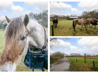 Groenewoudseweg 61, 6603 DH Wijchen