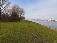 't Roode Hart 6, 1981 AJ Velsen-Zuid