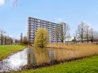 Antwerpenstraat 196, 4826 HE Breda