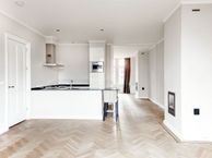 Pieter de Hoochstraat 10 2, 1071 EE Amsterdam